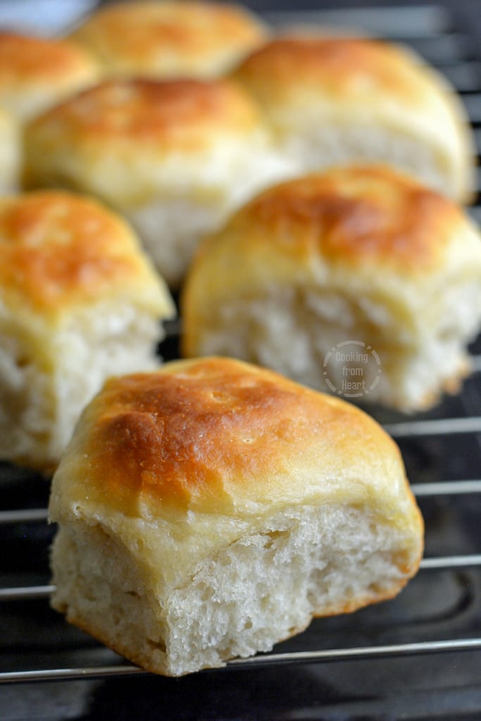 Buttery Soft Sourdough DInner Rolls